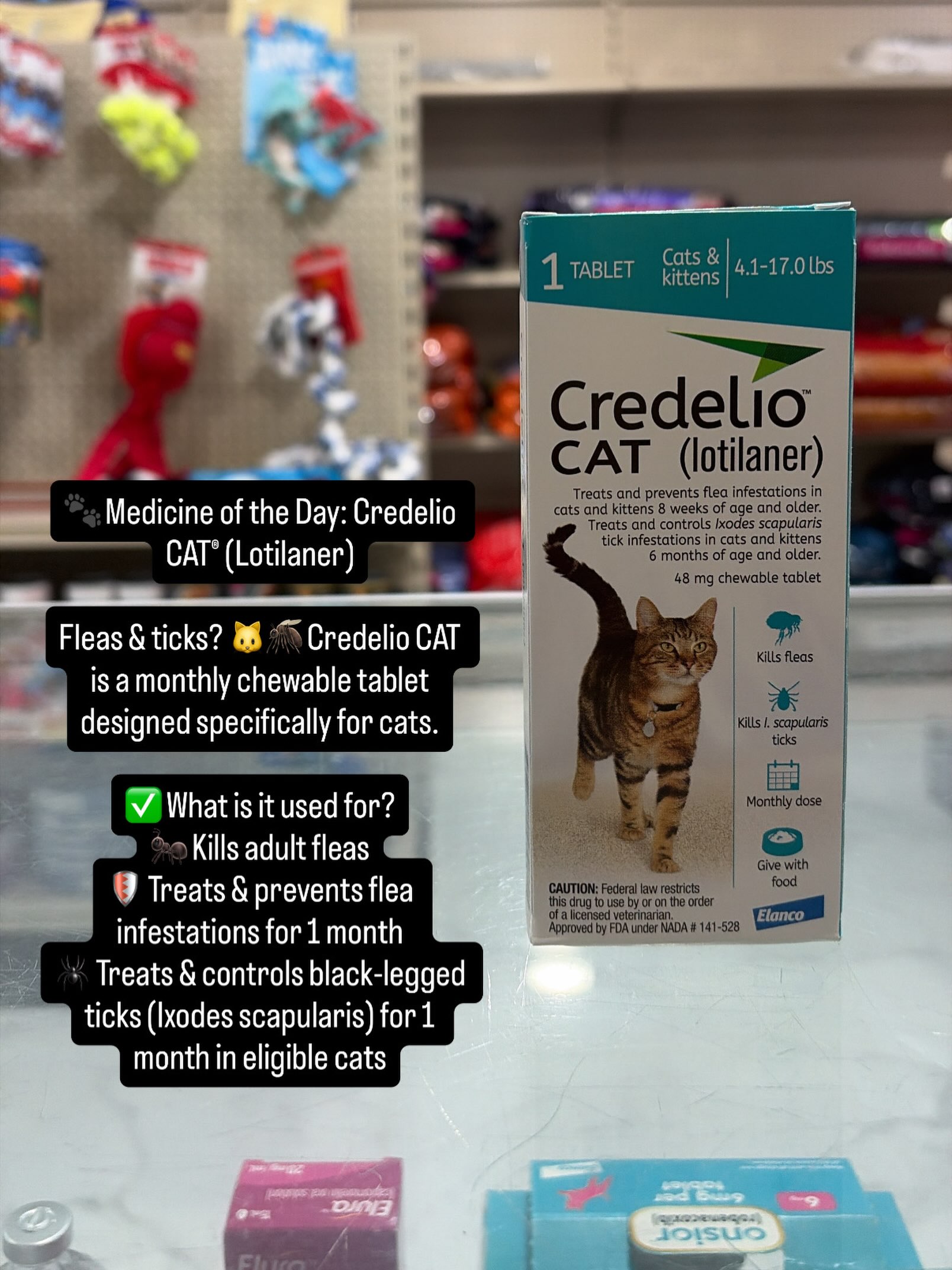 Credelio product featured on Sunshine Veterinary Pharmacy’s Instagram